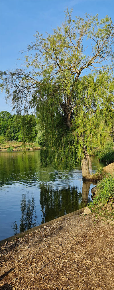 The-Fisheries-Image4 The-Fisheries-Image4